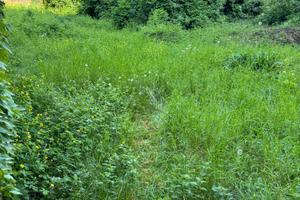 Gorizia, Via Pascoli