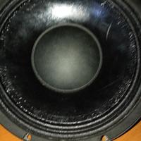 woofer b&c 25 cm
