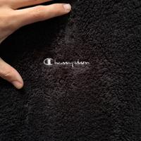 Pile orsetto champion