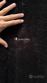 Pile orsetto champion