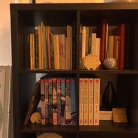 + RITIRO / ACQUI.STO + INTERE BIBLIOTECHE, LIBRI