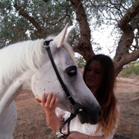 Cavalla Purosangue Arabo