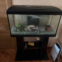 Acquario con mobile