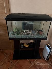 Acquario con mobile