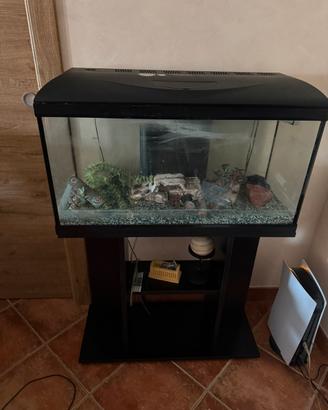 Acquario con mobile