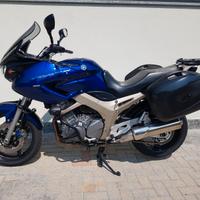 Yamaha TDM 900 - 2004 con borse