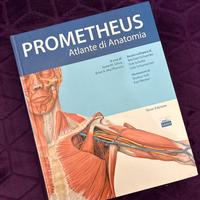 Prometheus Atlante di Anatomia