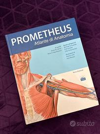 Prometheus Atlante di Anatomia