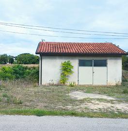 Terreno agricolo e locale