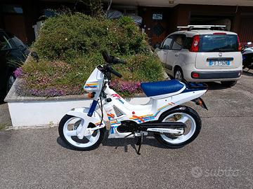 fifty Mistral 