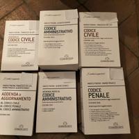 Codici dir. civ.-pen.-ammin. e addende