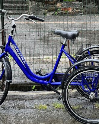 Bici a 3 ruote