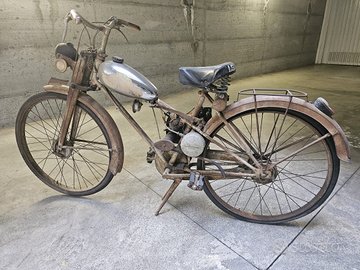 Bianchi aquilotto Amalfi turismo
