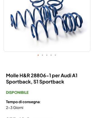 Molle HeR Audi S1/A1