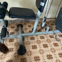 Palestra