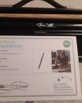 Stecca da biliardo Snooker