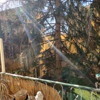 Camera singola in pieno centro