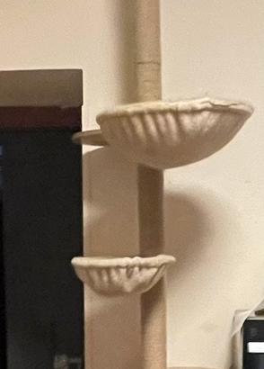 Tiragraffi gatti toilette accessori