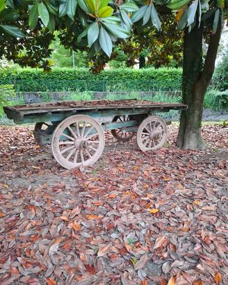 vendes: Antico carro in legno