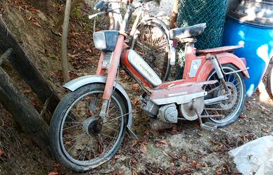 Peugeot Altro modello - 1974