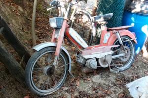 Peugeot Altro modello - 1974