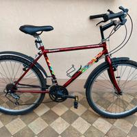 Bici Scoiattolo