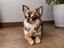Immagine 3