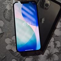 iPhone 13 Pro Max 256Gb