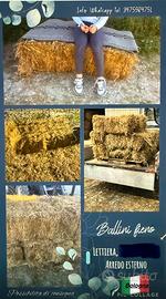Ballette per feste