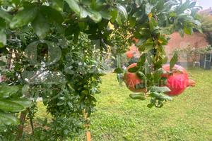 Villetta quadrifamiliare Riolo Terme