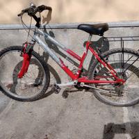 Bicicletta Montain Bike 24" ragazzo/ragazza.