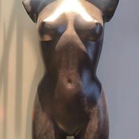 Manichino Mezzobusto Nero da Sarta 80 cm - Ottime