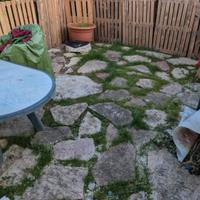 pietre naturali giardino