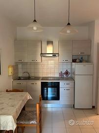 OGGI - 2 AGOSTO bilocale a Marina di Bibbona