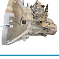 cambio Fiat 500L 0.9 benzina 55255131 Revisionato