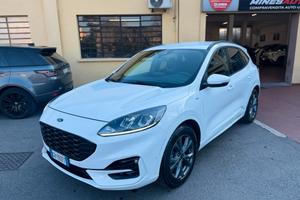Ford Kuga 1.5 EcoBlue 120 CV aut. 2WD ST-Line
