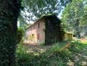 rustico-immerso-nel-bosco-a-bastiglia