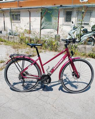 Nishiki biciclette in blocco 