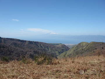 Terreno agricolo in Aspromonte