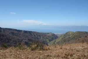 Terreno agricolo in Aspromonte