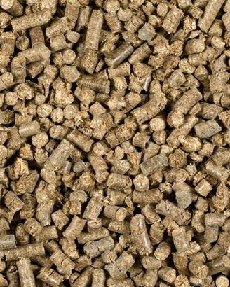Pellet di paglia per lettiera