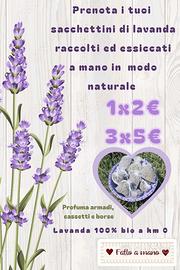 Lavanda