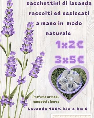 Lavanda