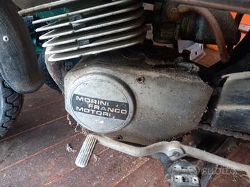 tubone morini + giuglietta 