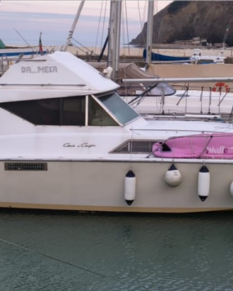 Chris craft Corvette