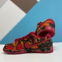 Nike dunk sb mago di Oz