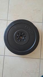 2 dischi per pesi da 10 kg