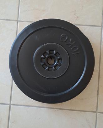 2 dischi per pesi da 10 kg