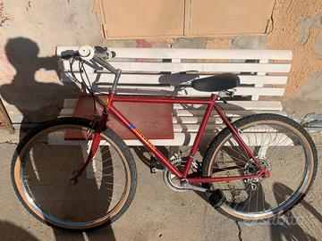 bici poseidon