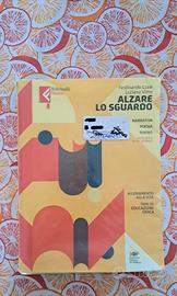 Alzare lo sguardo - narrativa, poesia, teatro